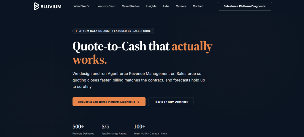 Bluvium Top-Rated Salesforce Consulting Company in USA