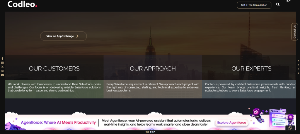 Codleo Consulting Top-Rated Salesforce Consulting Company in USA
