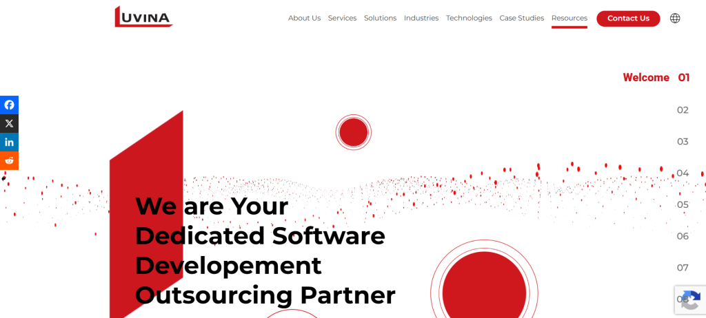 Luvina Software JSC Leading Japanese Consulting Company