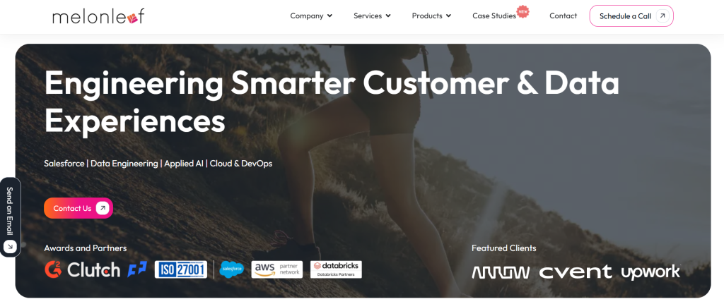Melonleaf Consulting Top-Rated Salesforce Consulting Company in USA