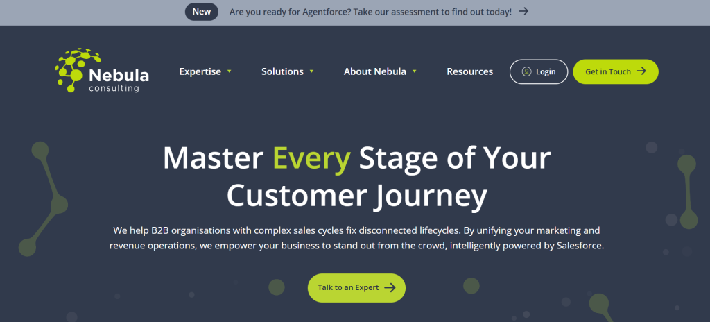 Nebula Consulting Best Salesforce Consulting Partner